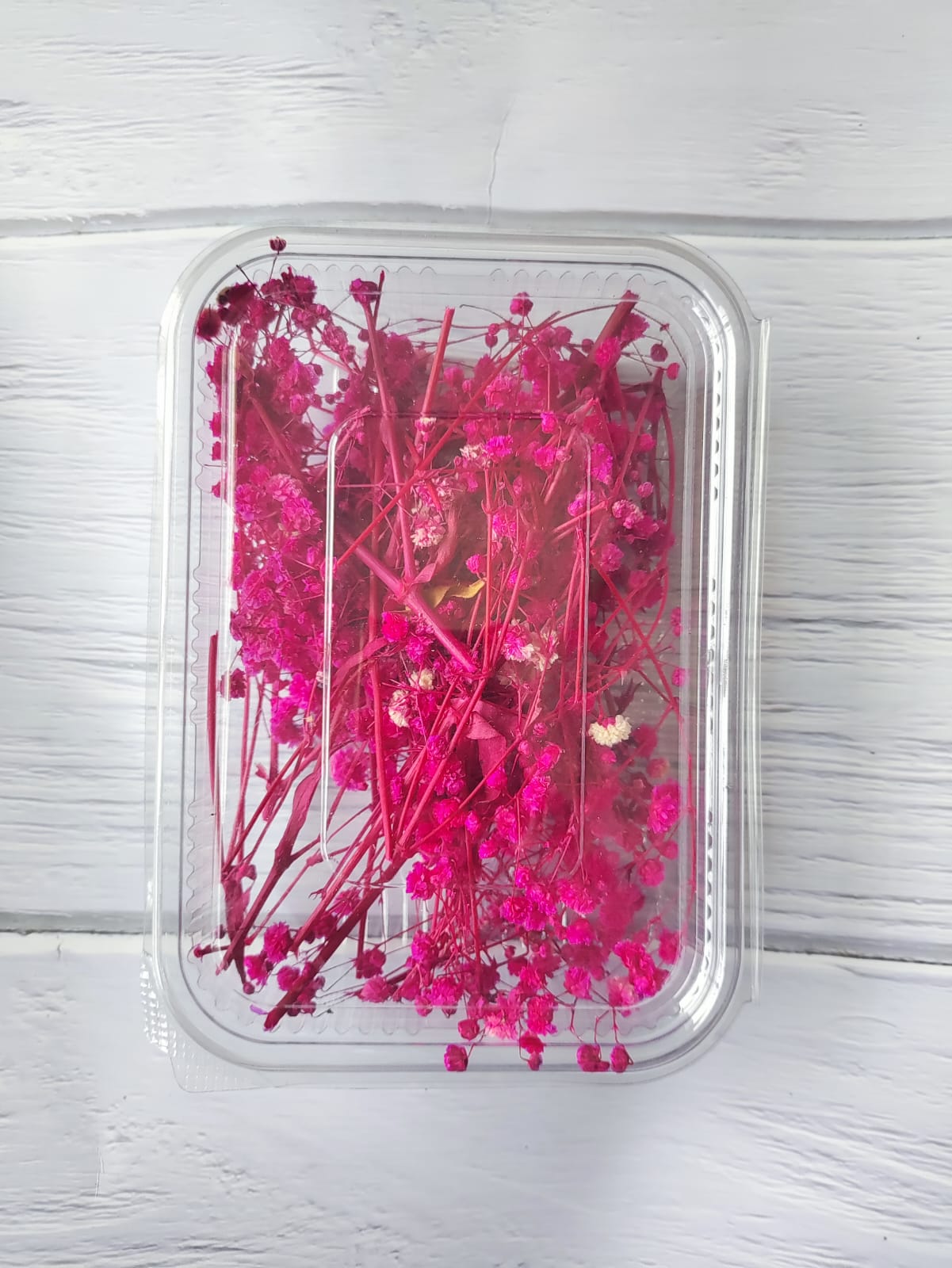 Dry Baby Breath/ gypsy