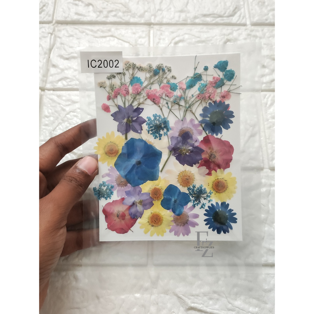 Mixed Dry Flower Sheet - D23