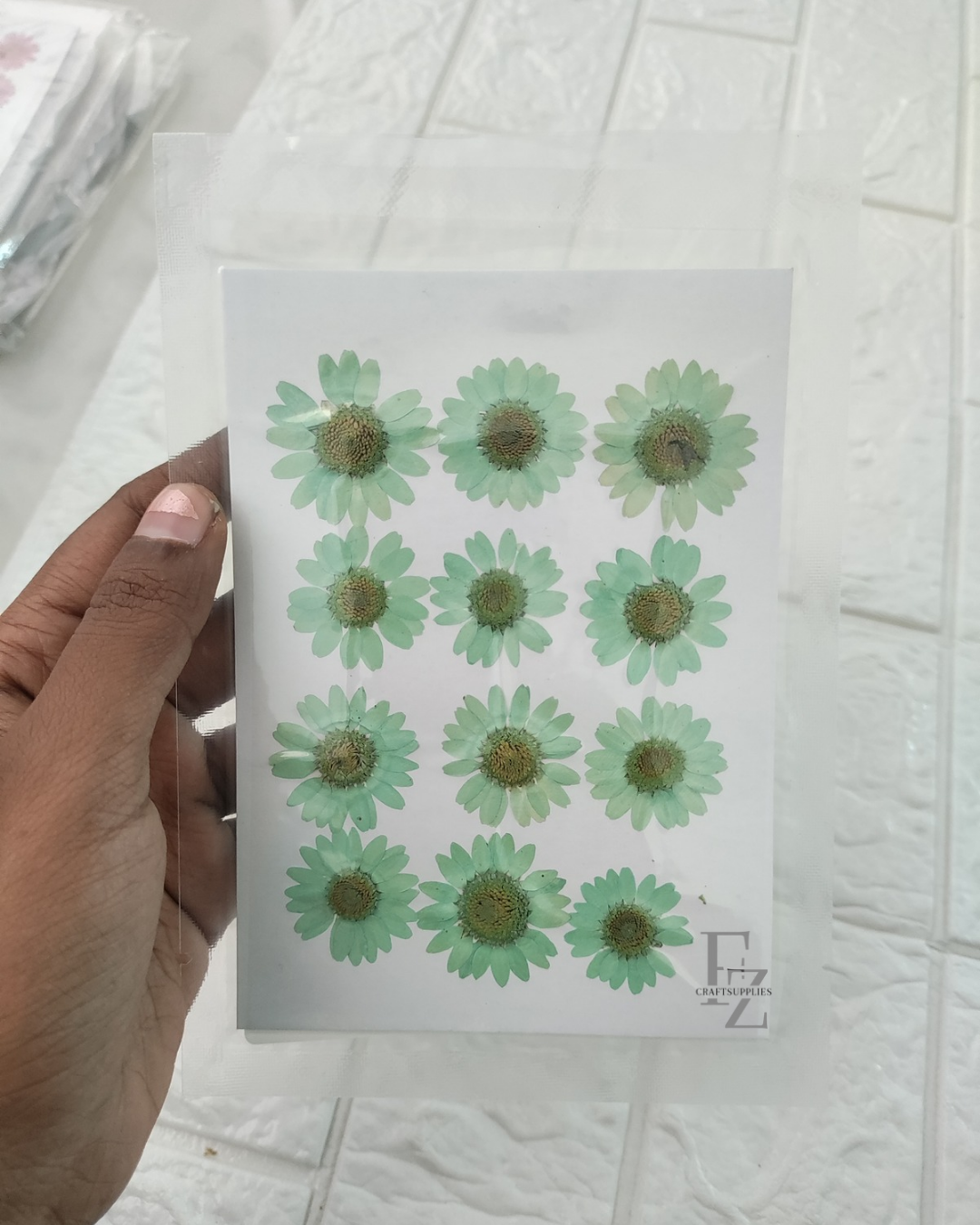Pressed Daisy - Aqua Blue