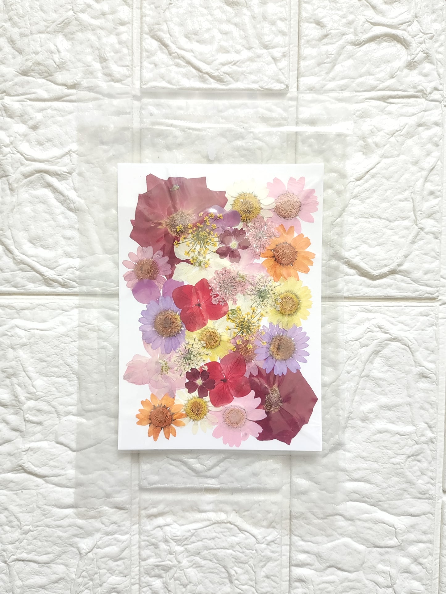 Mixed Dry Flower Sheet D9