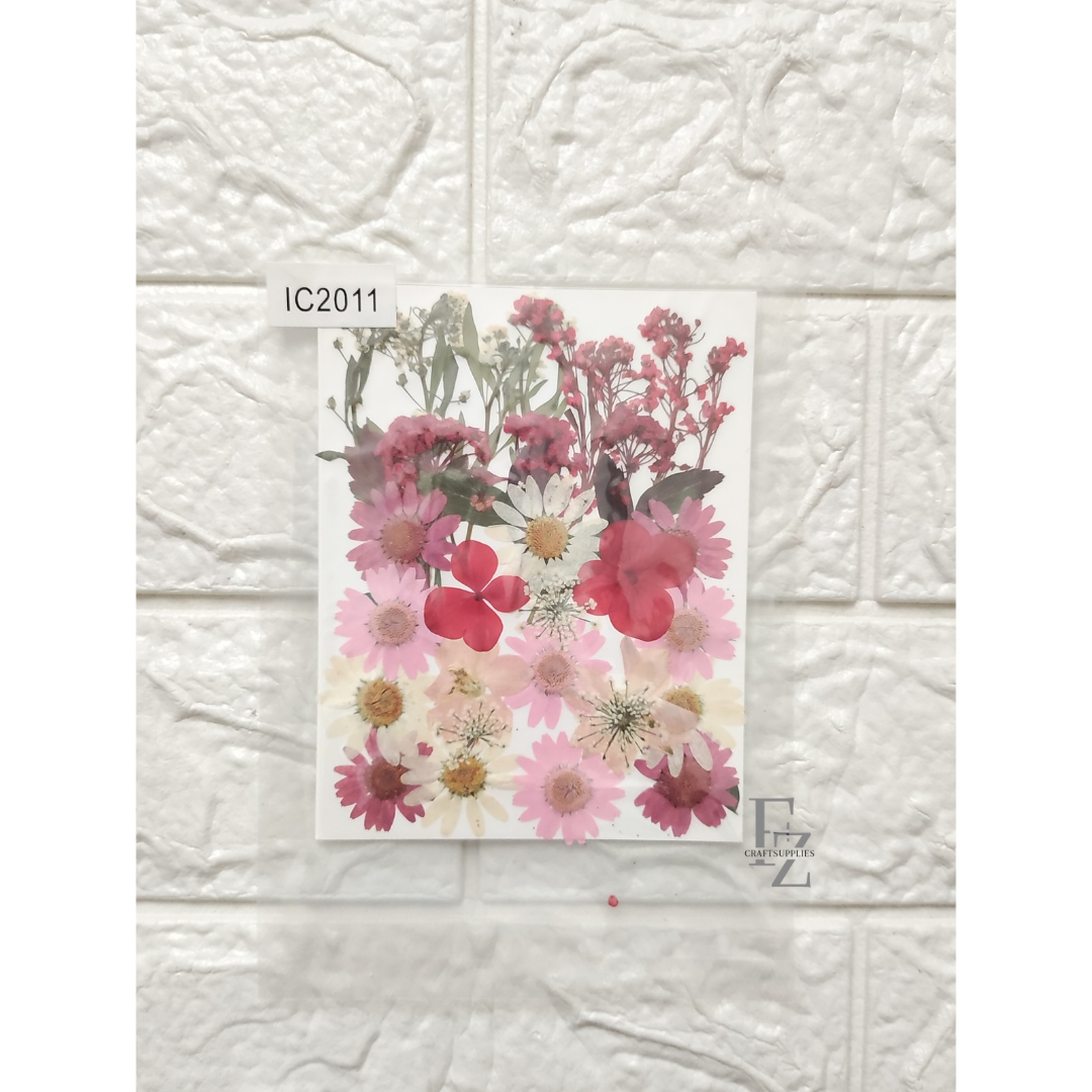 Mixed Dry Flower Sheet - D22