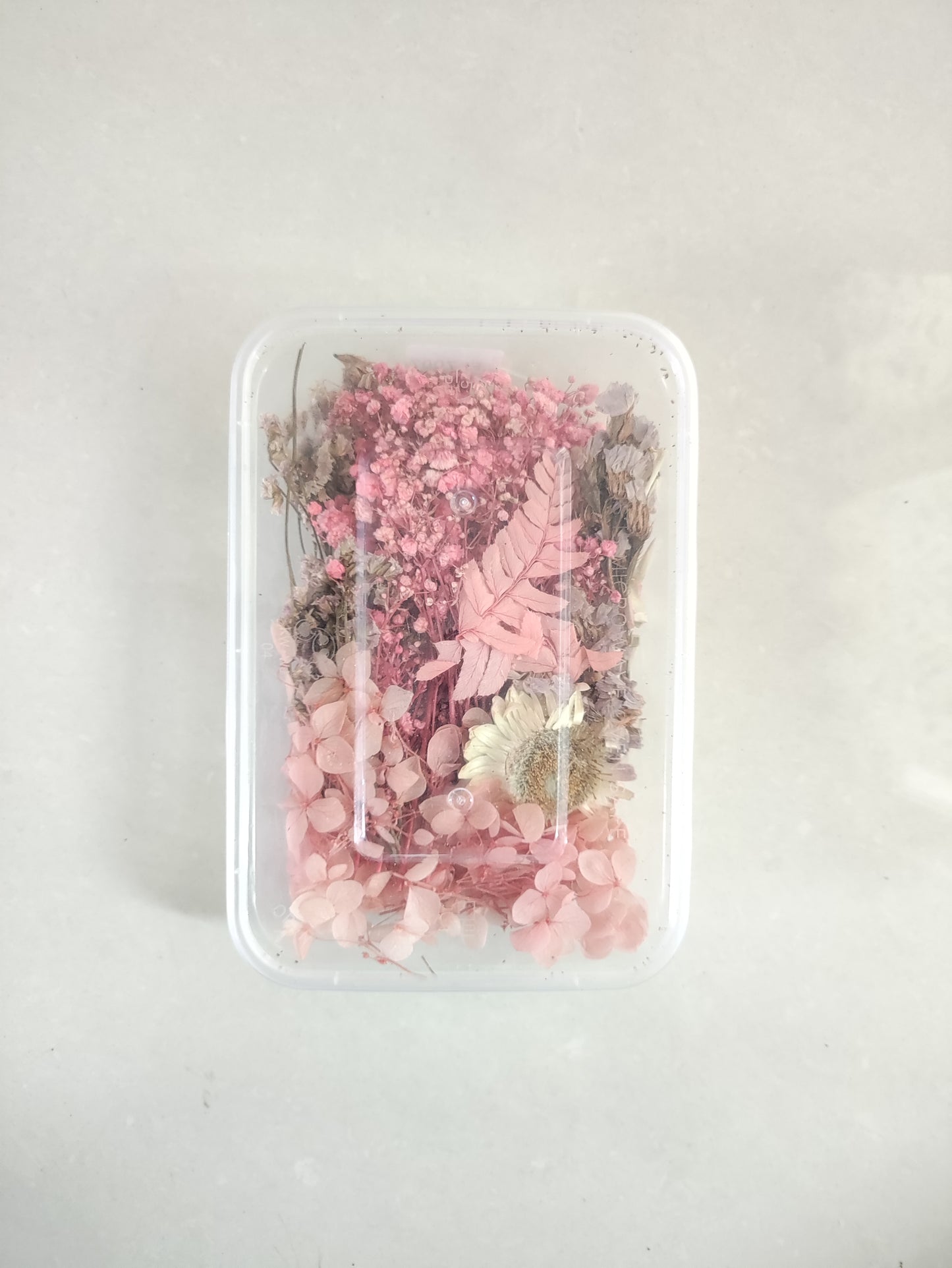 Dry Flower Box - B18