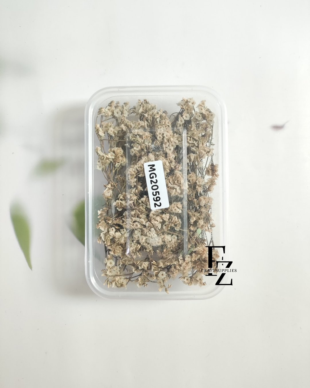 Dry Flower Box - B13