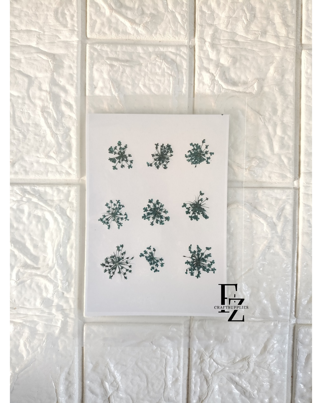 Queen Anne's Lace - Blue