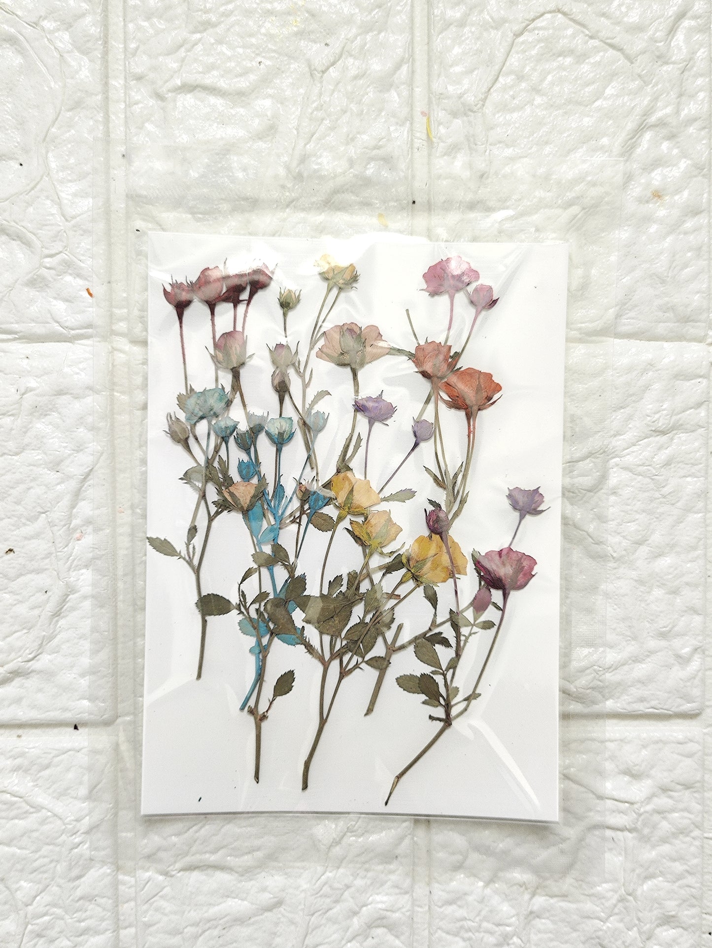 Pressed Rose Branches