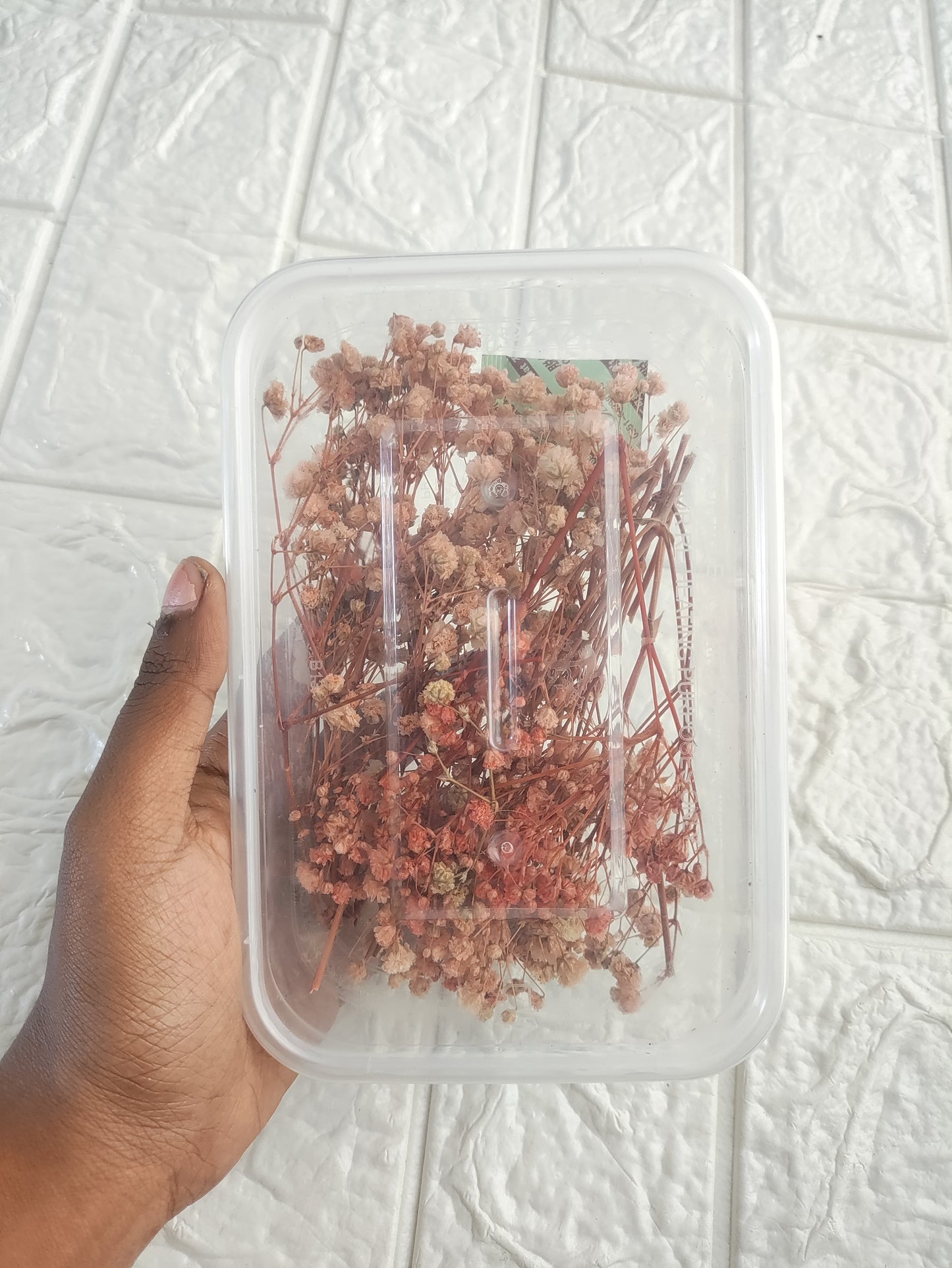 Baby Breath - Faded Pink