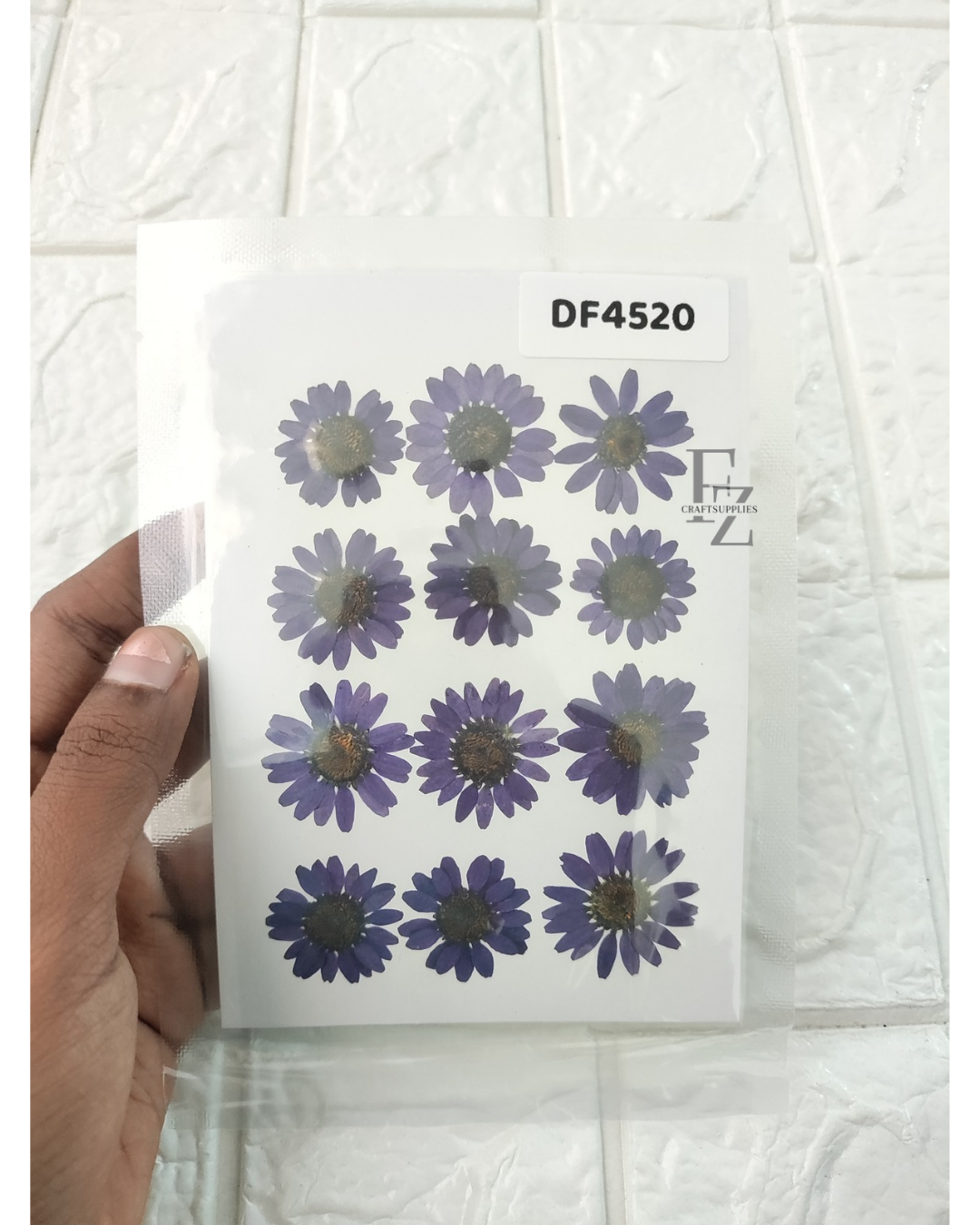 Pressed Daisy - Violet