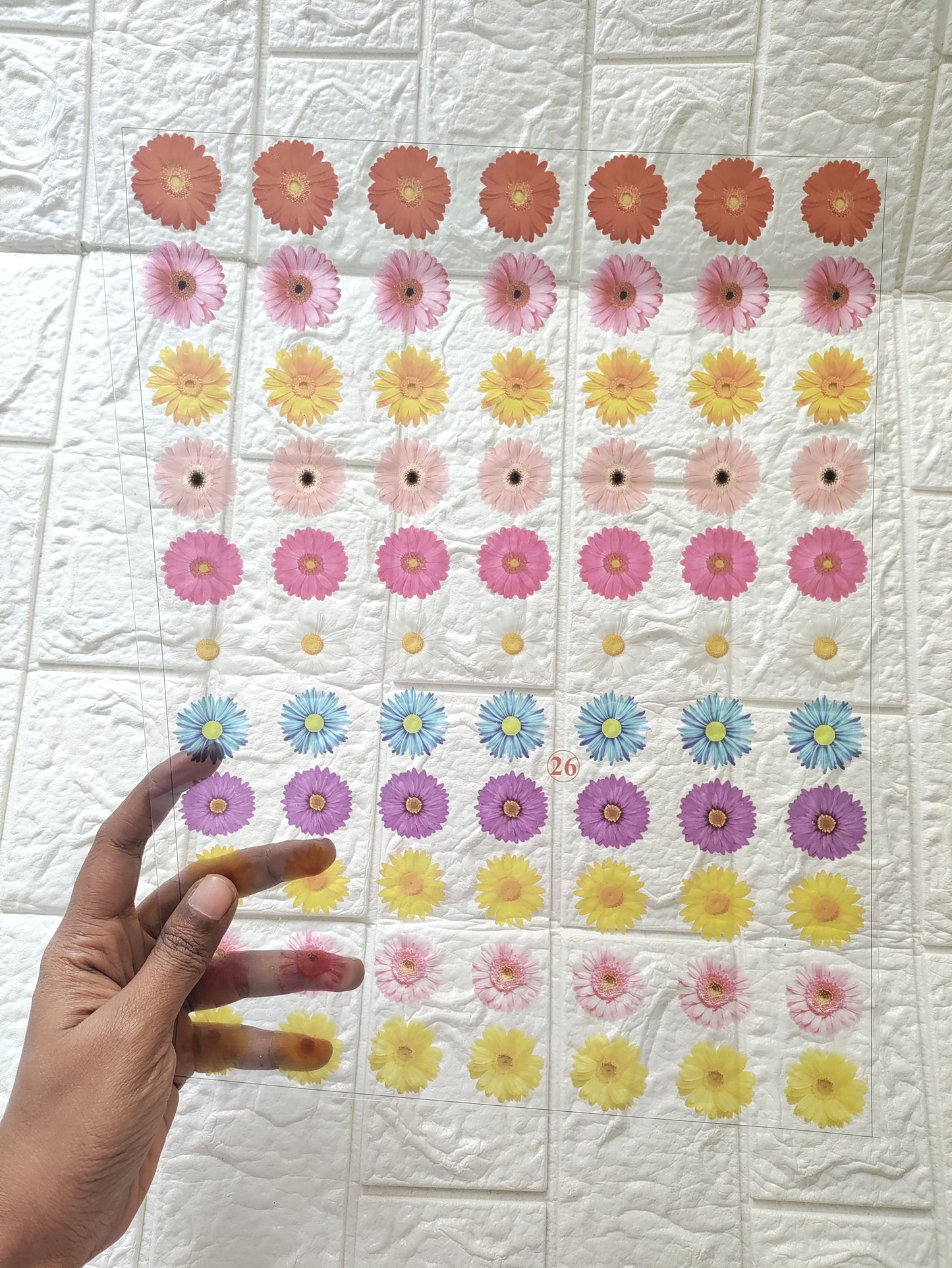 Flower OHP/ Transparent Sheet D07