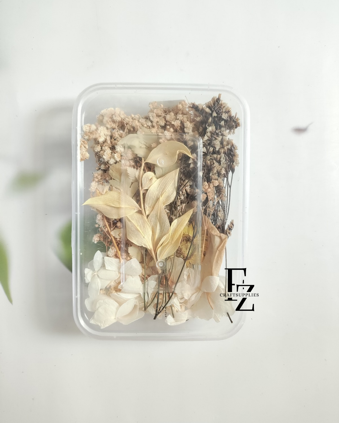 Dry flower box - B33