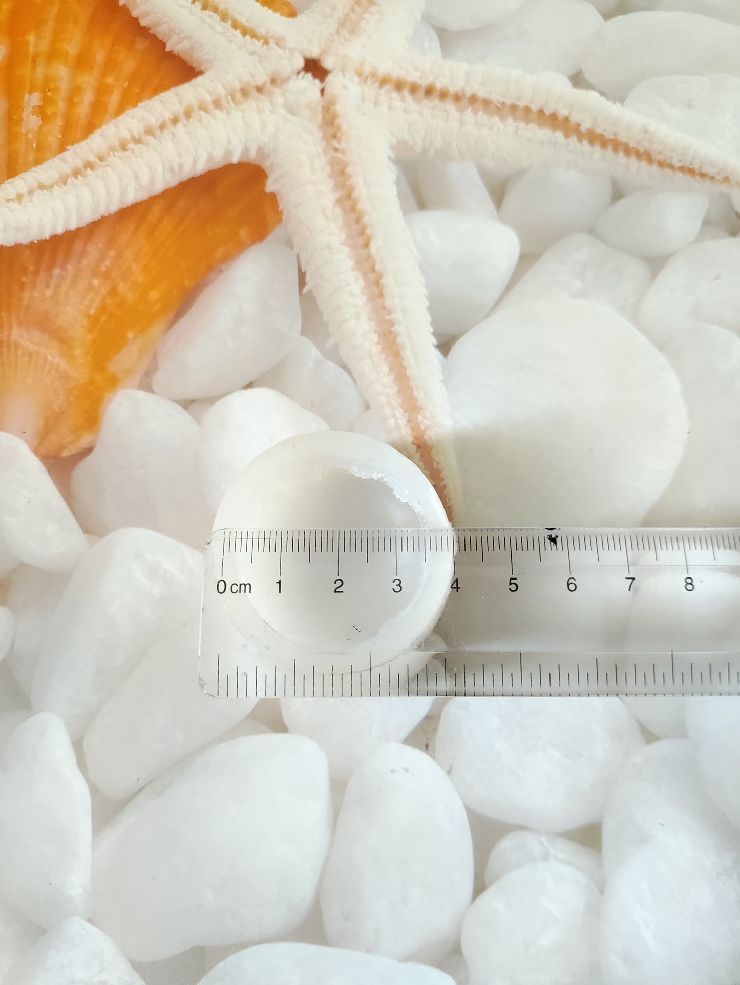 Macaron Candle Mould