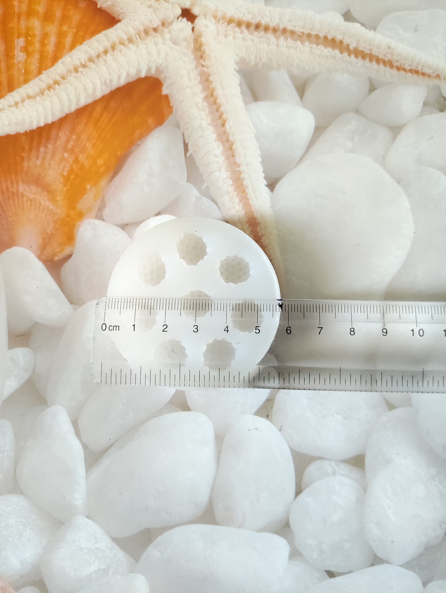 Raspberry 8 Cavity Candle Mould