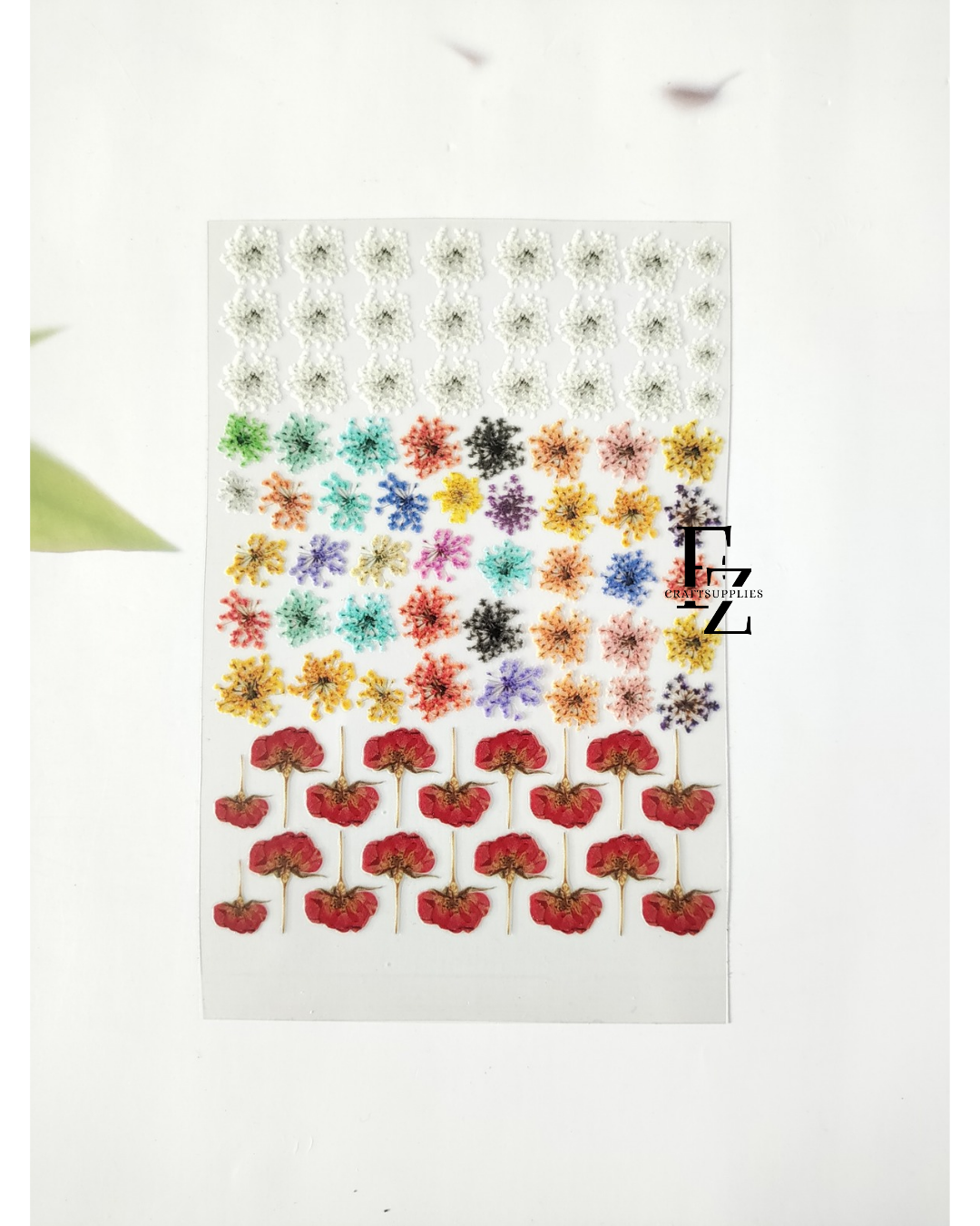 Queen Anne's & Rose Peel off Sticker