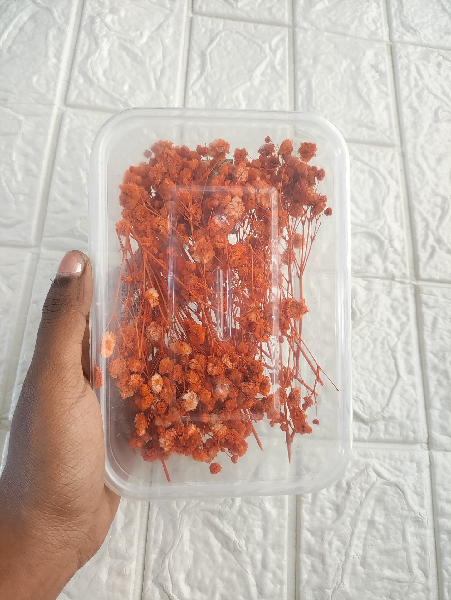 Baby Breath - Orange