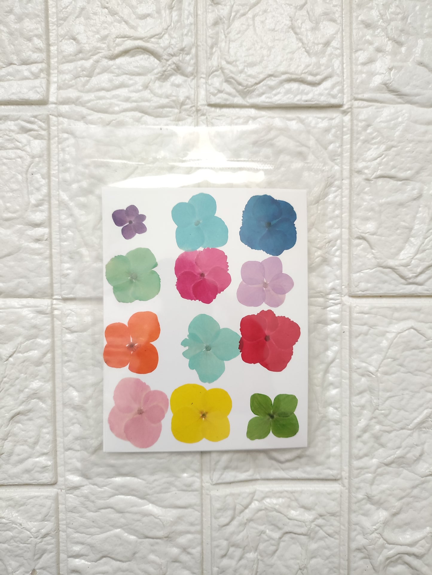 Mixed Hydrangea Flower Sheet