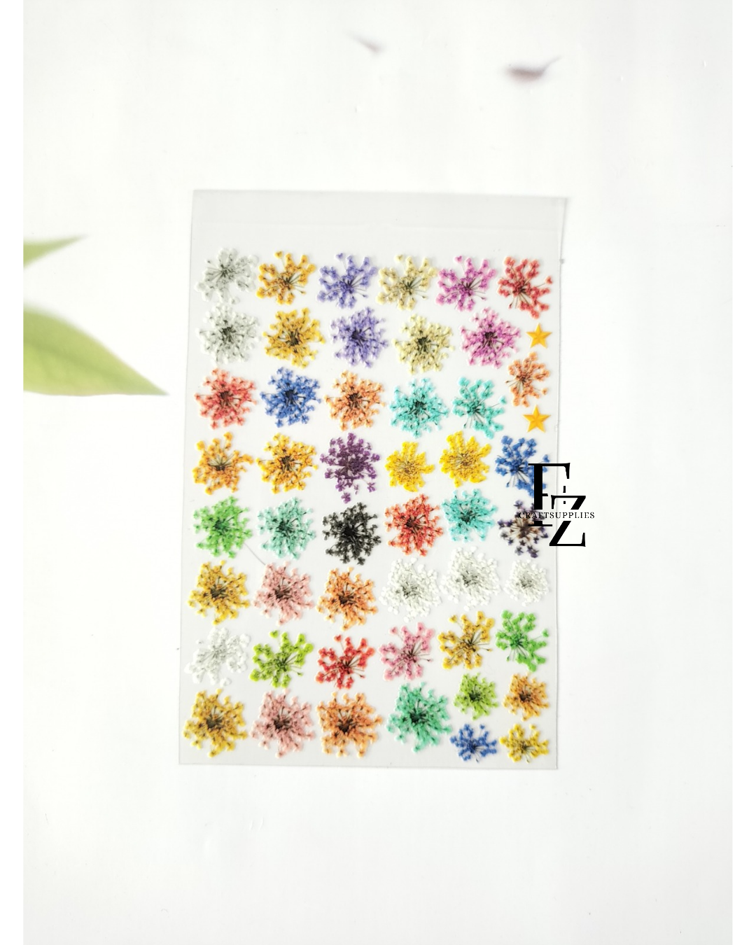 Mix Queen Anne's Lace Peel off Sticker