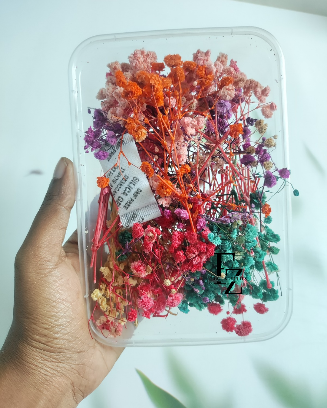 Mixed Baby Breath Box