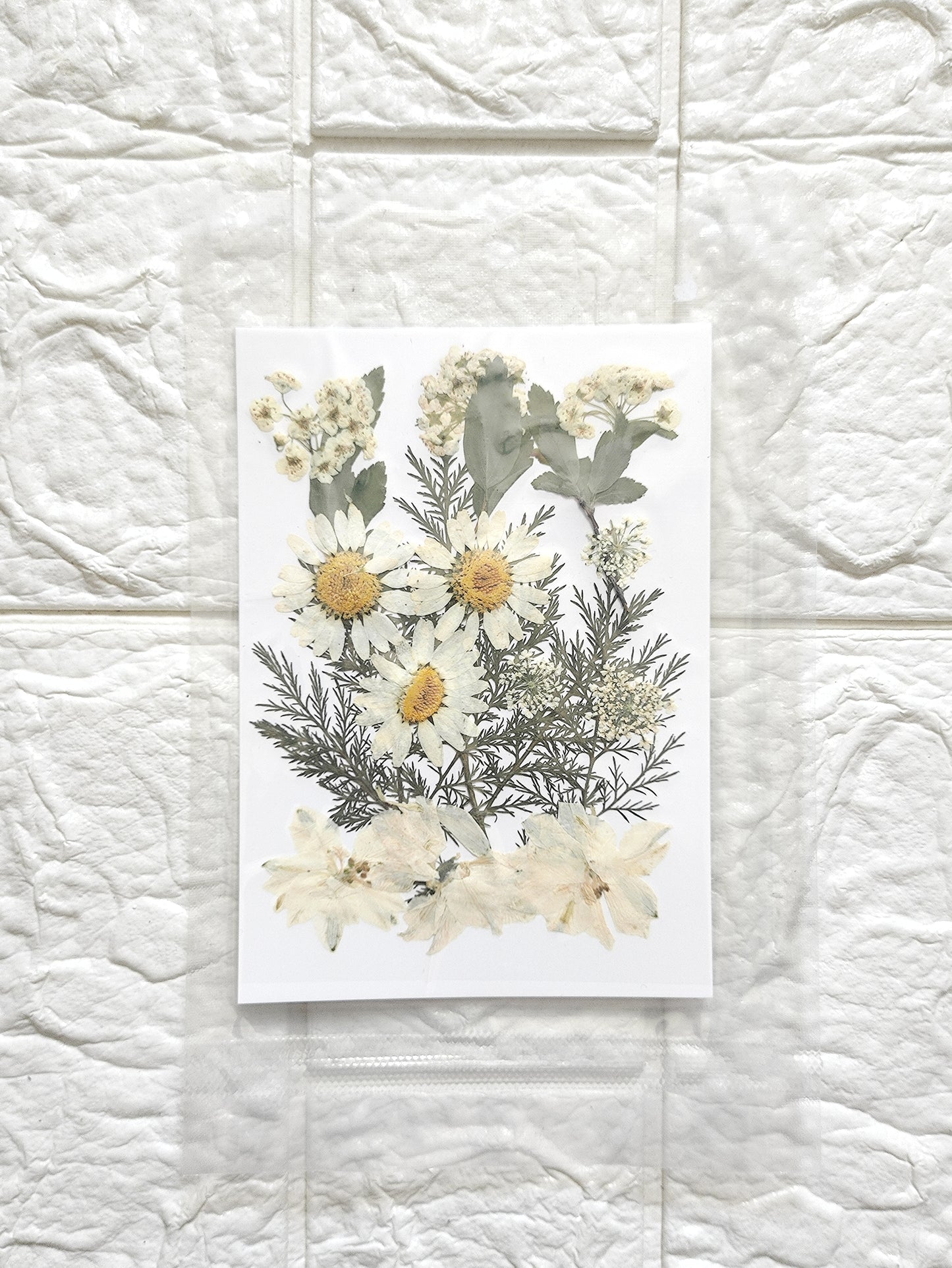 Mixed Dry Flower Sheet D11