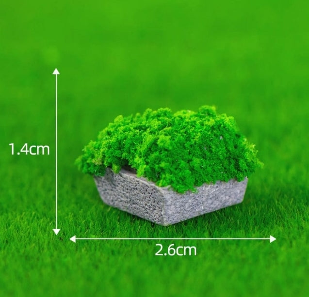 heart Grass Miniature