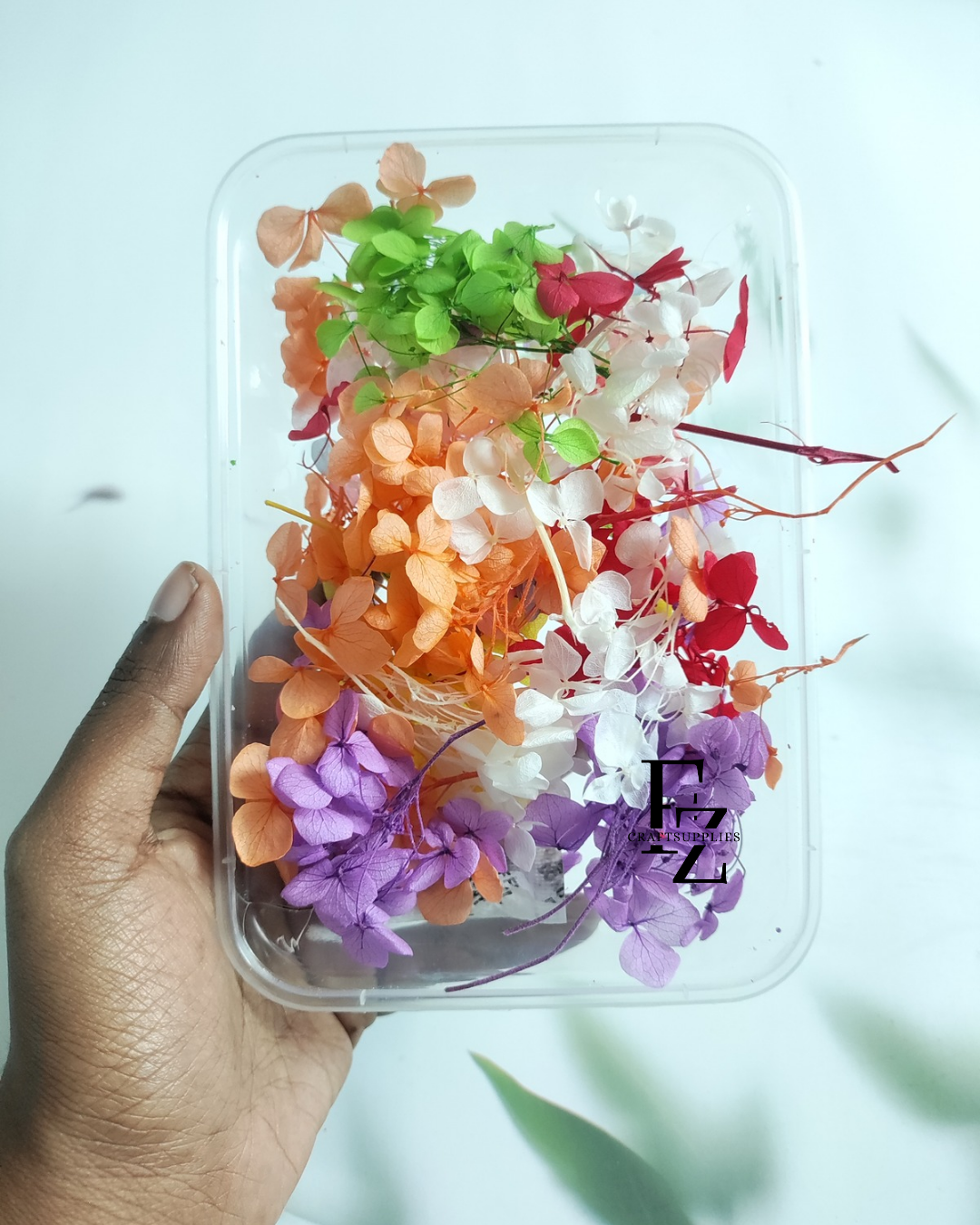 Mixed Hydrangea Flower Box