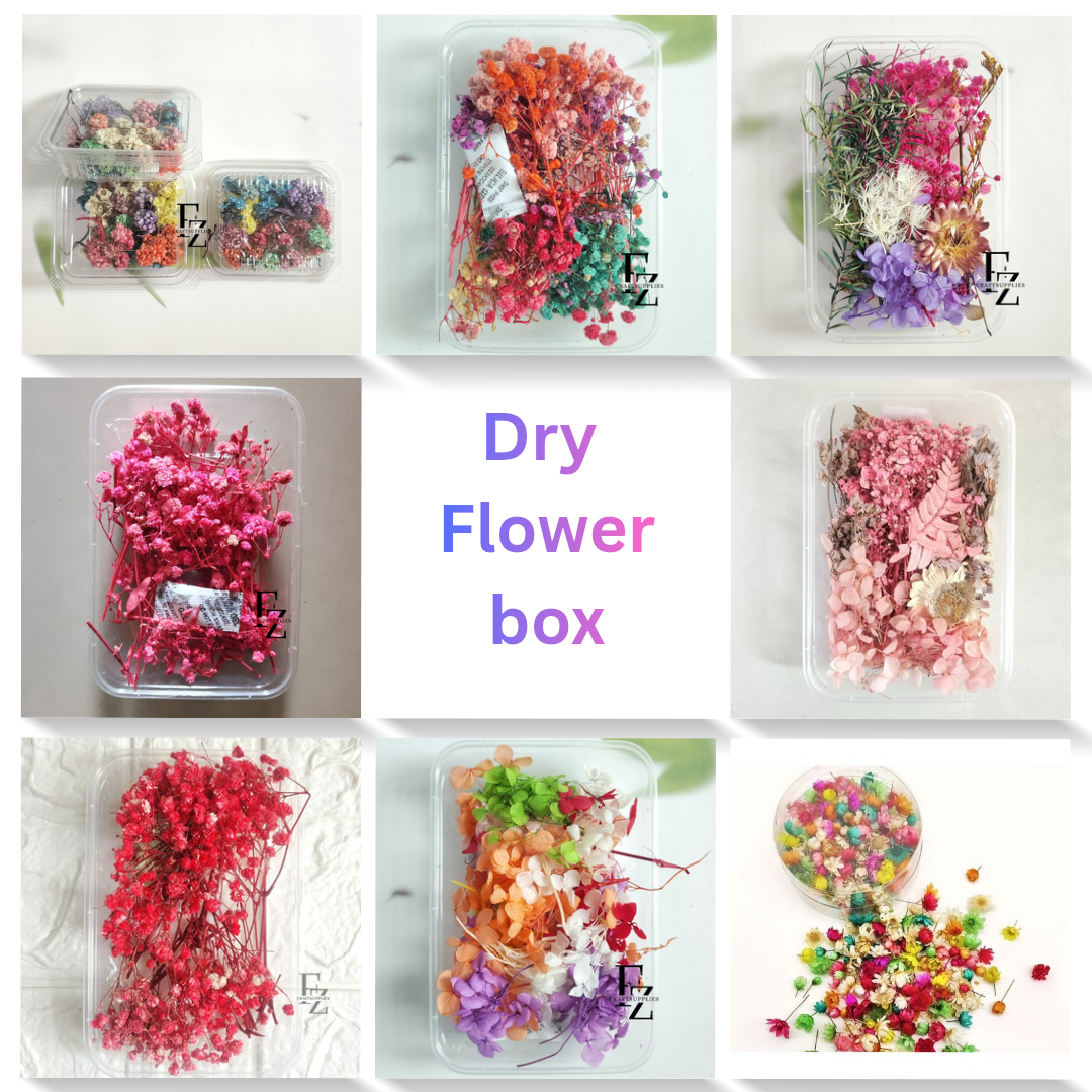 Dry Flower Box