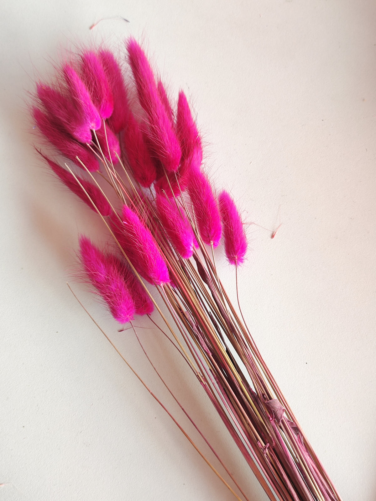 Bunny Tails Rani Pink - 5 Pieces