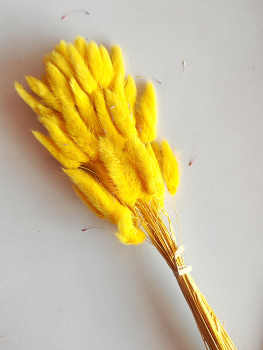 Bunny Tails Turmeric Yellow - 5 Pieces