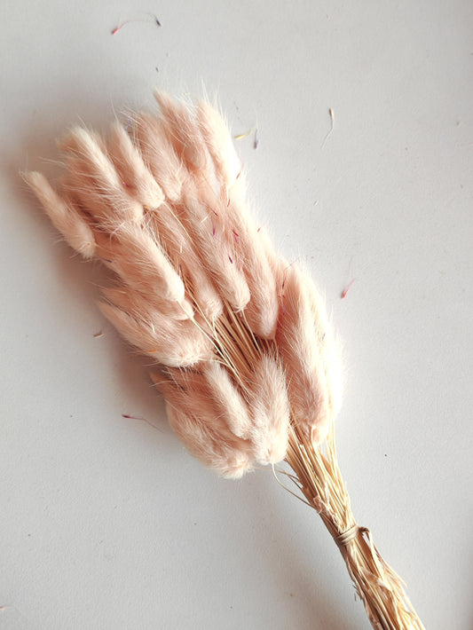Bunny Tails Light Pink/ Brown 5 Pieces