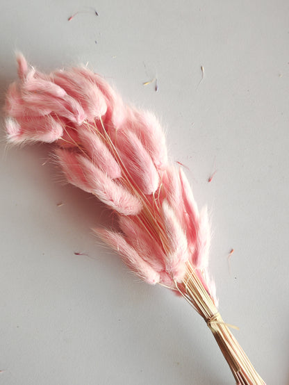 Bunny Tails Pink - 5 Pieces