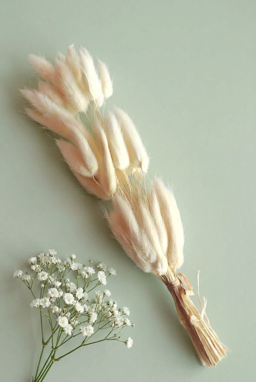 Bunny Tails White - 5 Pieces
