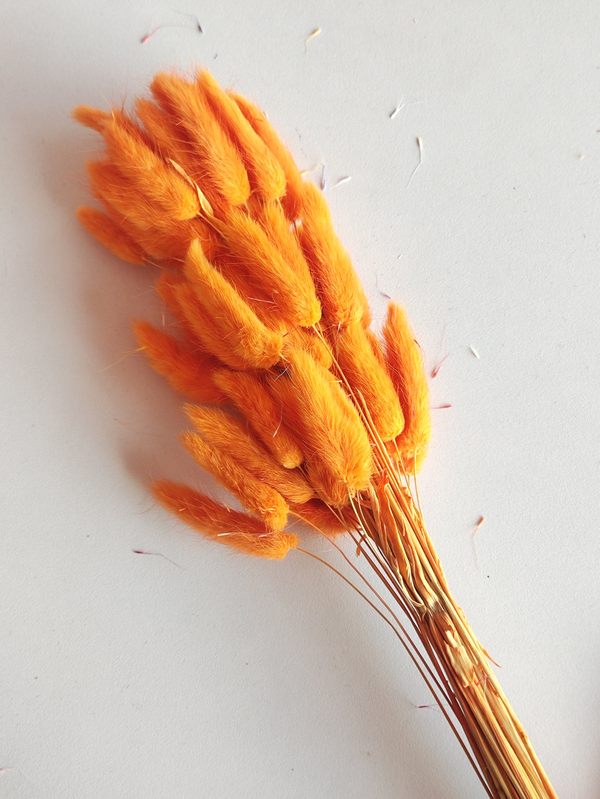Bunny Tails Orange - 5 Pieces