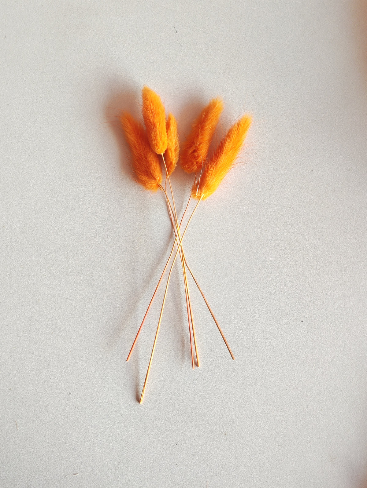 Bunny Tails Orange - 5 Pieces