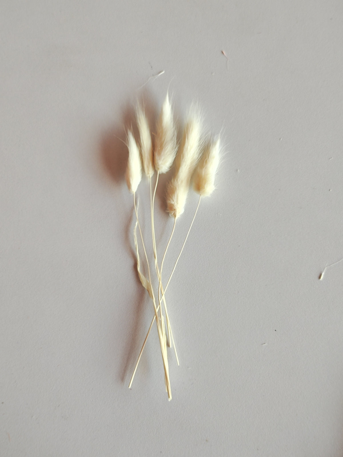 Bunny Tails White - 5 Pieces