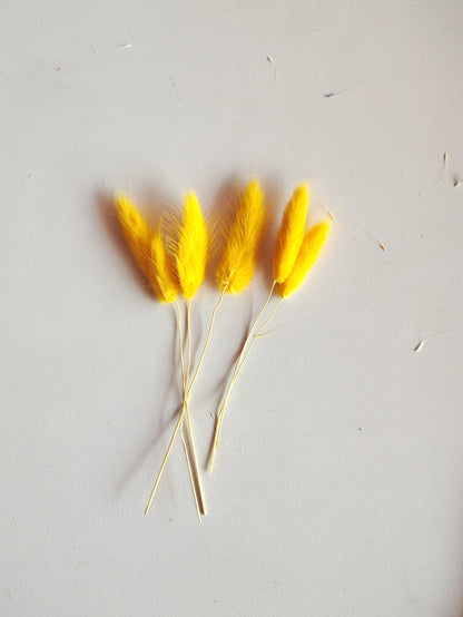 Bunny Tails Turmeric Yellow - 5 Pieces