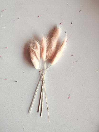 Bunny Tails Light Pink/ Brown 5 Pieces