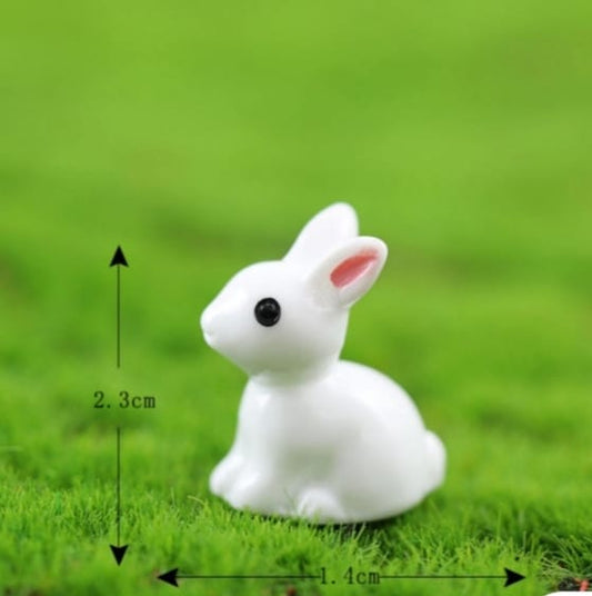 Rabbit Miniature 03