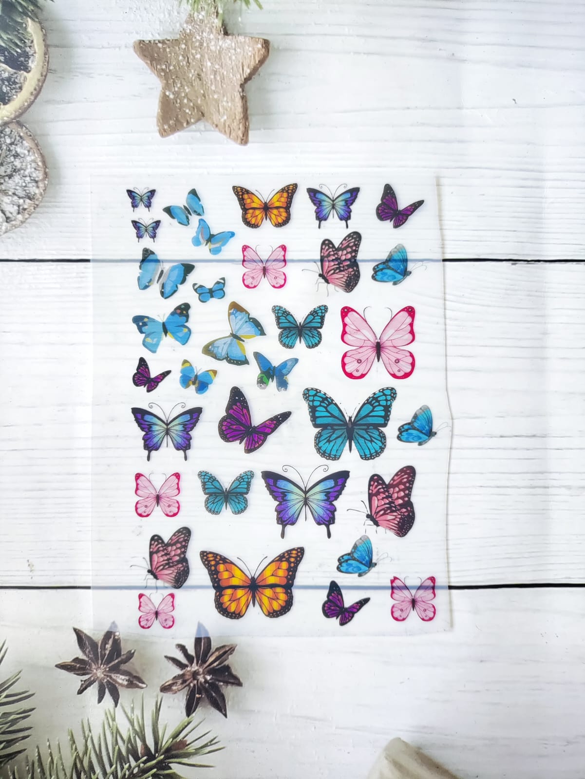 Butterfly Insert Sheet Design 2