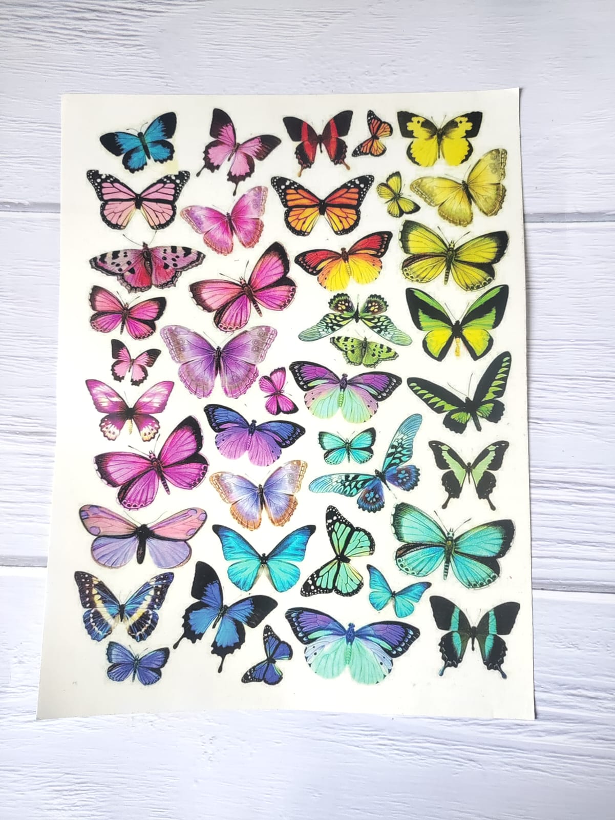 Butterfly Sticker Sheet A4 - D14