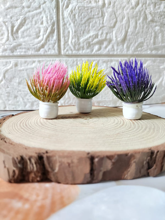 Plant Miniature - 3 Pcs