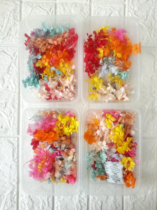 Mixed Dry Hydrangea Box - 1 Box