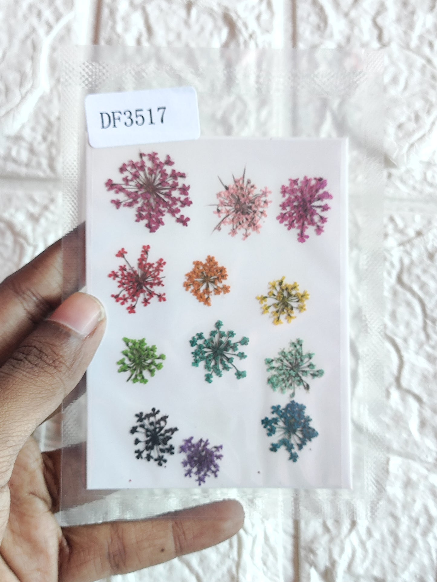 Queen Anne's Lace - Mixed