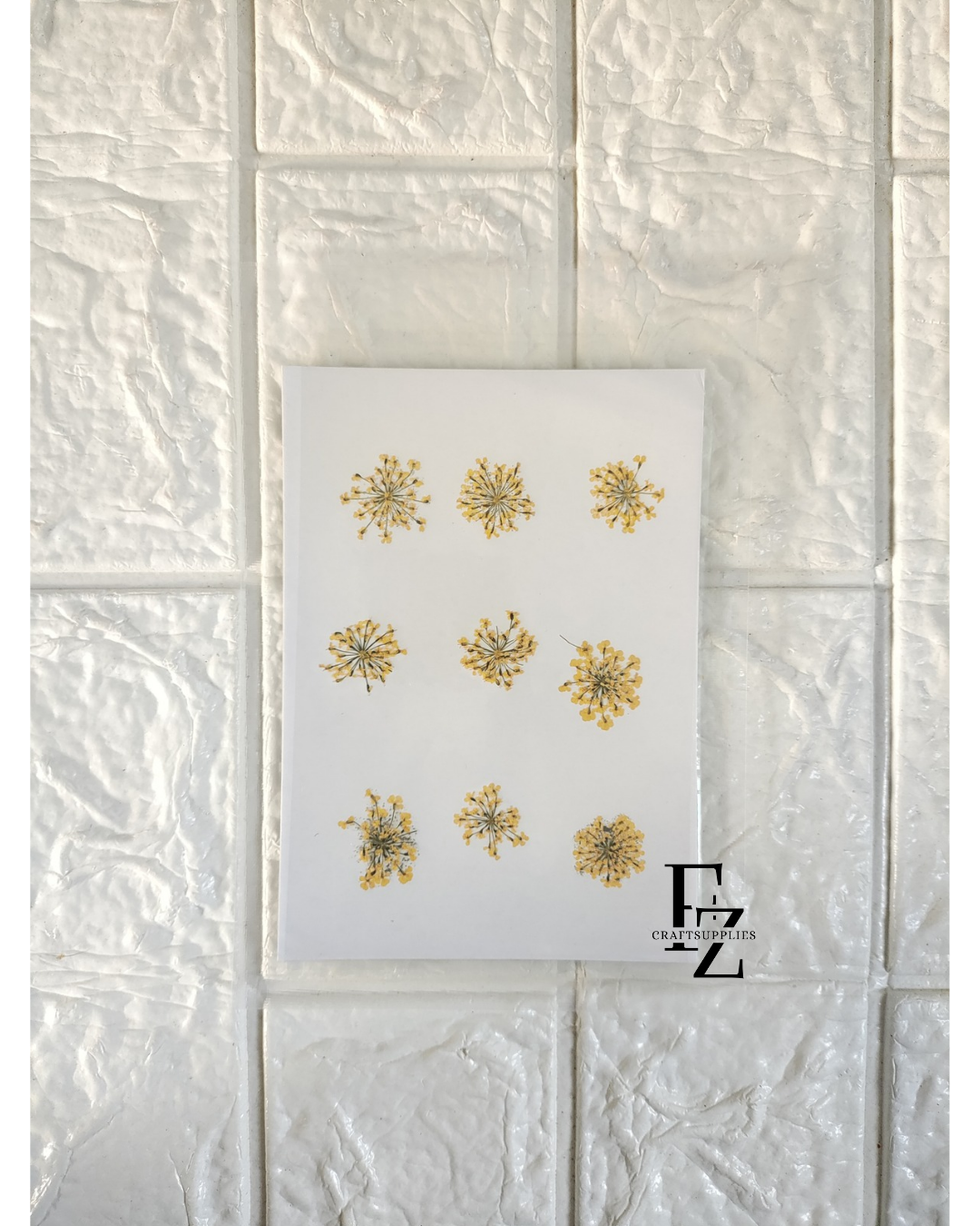 Yellow Queen Anne's Lace