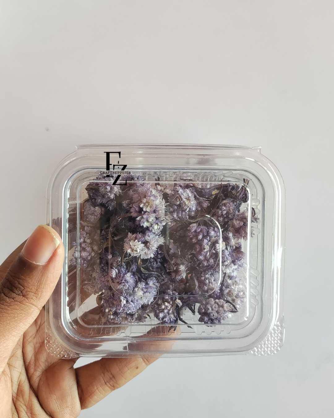 Himalayan Daises - Violet