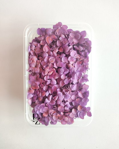 Hydrangea Dry Flower Box D51 - Purple