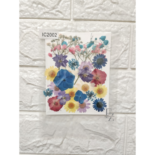 Mixed Dry Flower Sheet - D23