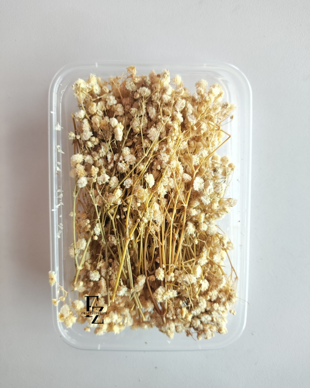 Dry Baby Breath/ Gypsy Box - White