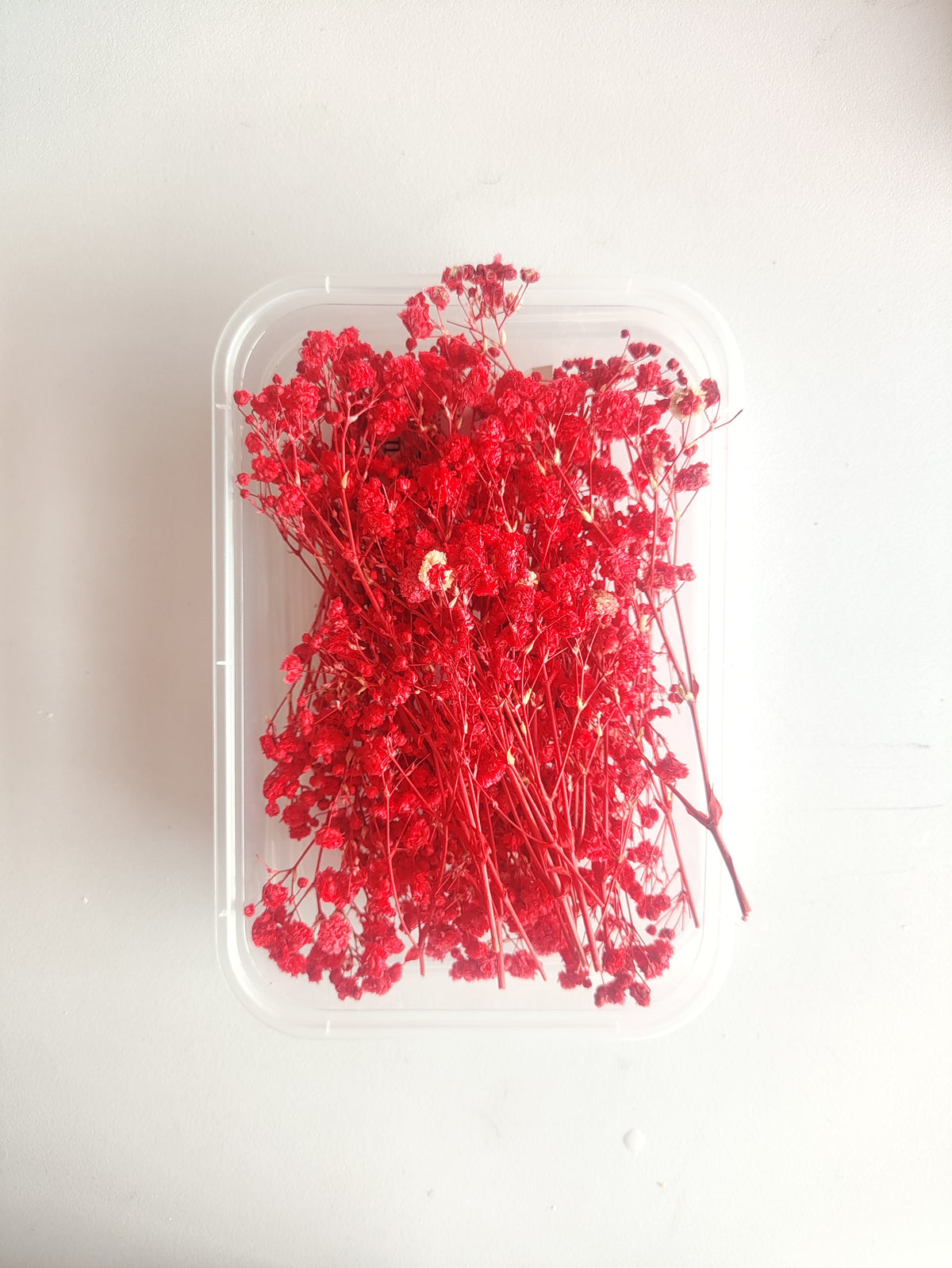 Baby Breath/ Gypsy Dry Flower Box