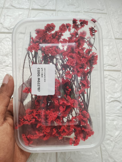 Dry Flower Box - B19