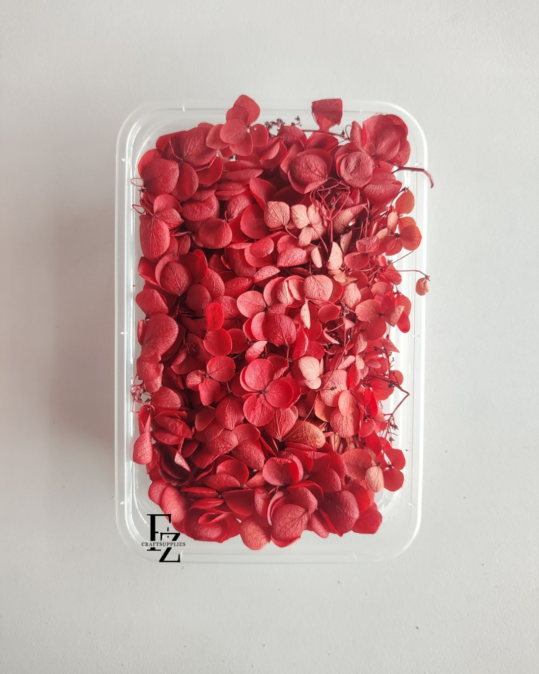 Hydrangea Dry Flower Box D51 - Deep Red