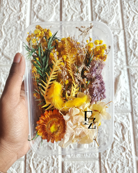 Dry flower box Yellow