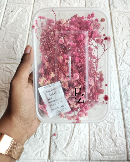 Dry Baby Breath/ Gypsy Box - Pink